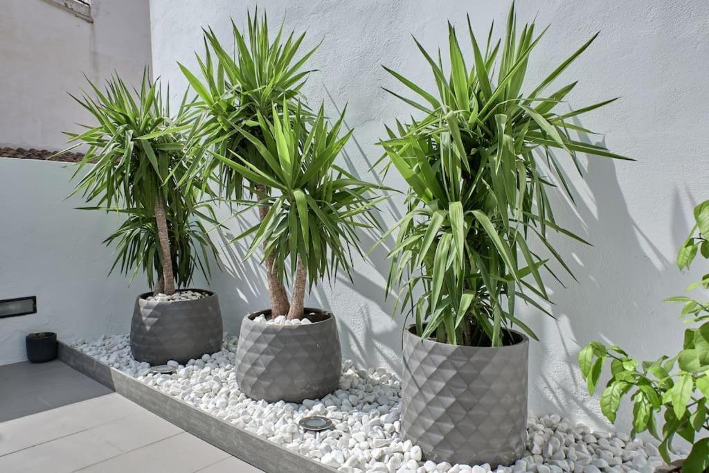 דירות ולנסיה Sunny Cozy Penthouse With A Terrace At Plaza Del Carmen מראה חיצוני תמונה